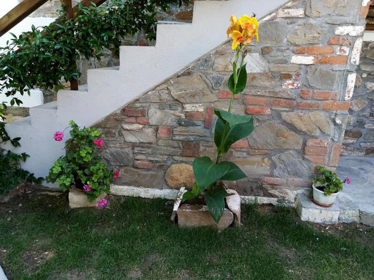 Petrino1880 Sea-Vacation Apartment In Chalkidiki Agios Nikolaos  Exterior foto